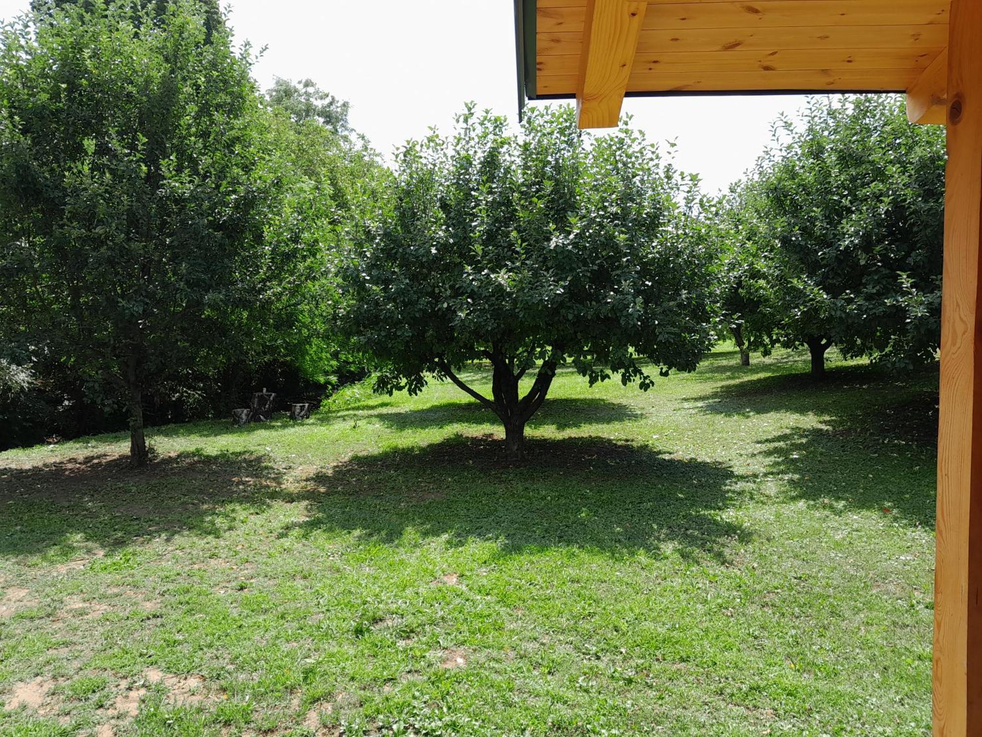 הוילה Sremska Kamenica Nica Wood מראה חיצוני תמונה
